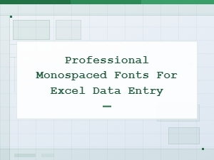 Best Professional Monospaced Fonts for Excel Data Entry